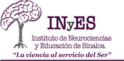 Aula Virtual INyES